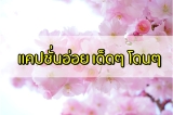 แคปชั่นอ่อย คำคมอ่อย 2022 เด็ดๆ โดนๆ อัพเดตใหม่